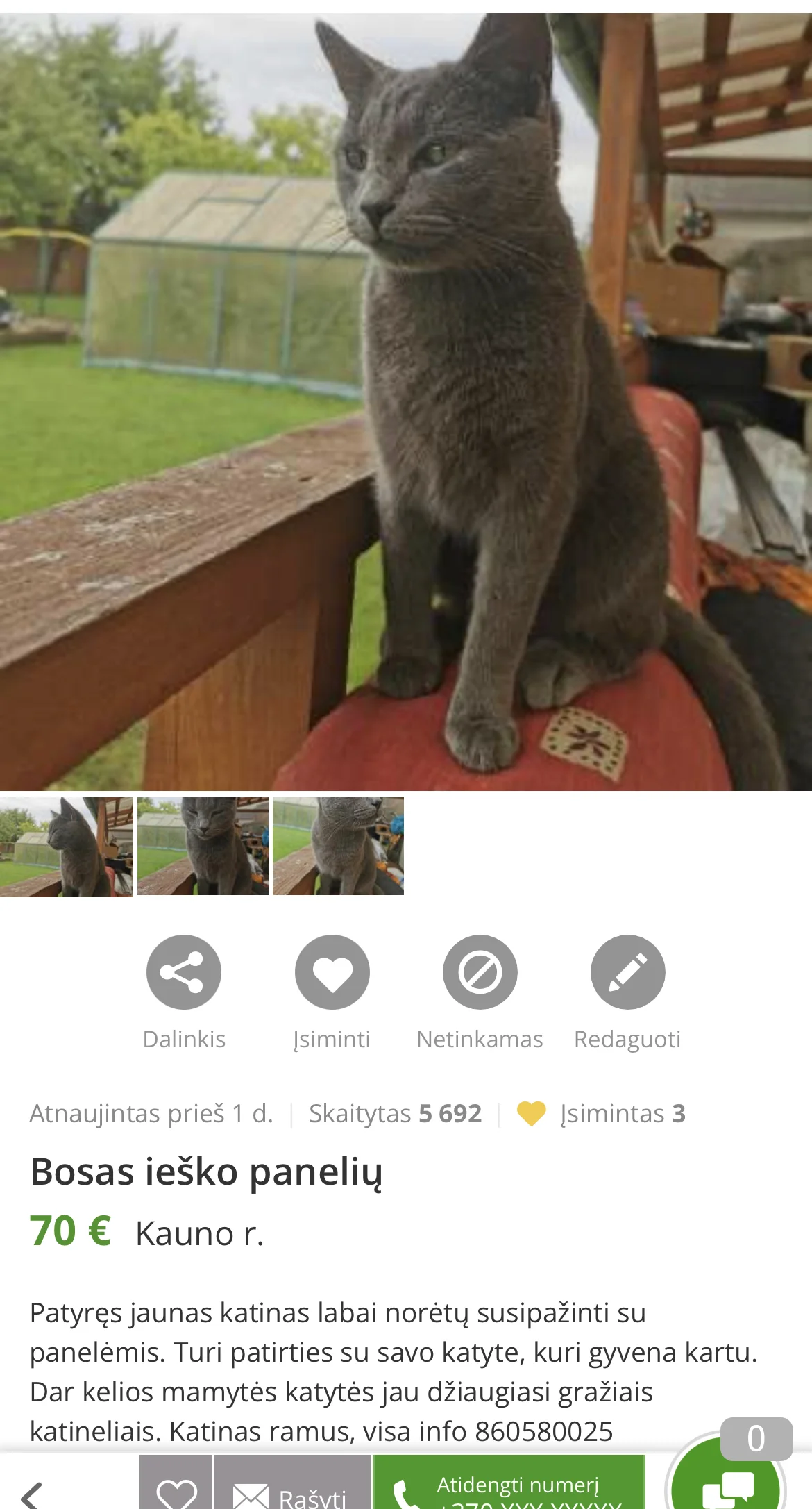 Kačiukas
